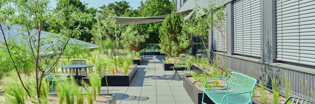 Bei der Scharr Tec GmbH & Co. KG richtete MYWORKSPACE by Lyreco unter anderem eine moderne Dachterrasse ein für mehr Grün am Arbeitsplatz. Bepflanzte Bereiche am Arbeitsplatz können das Wohlbefinden deutlich erhöhen.